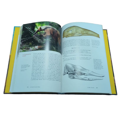 Full Color Professional Printing Services Provided By Reliance The Perfect Hard cover Textbook Maker