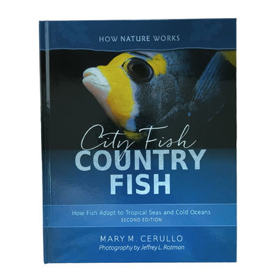 City Fish Country Fish Children Book Printing Smyth Sewn With Eco-friendly Ink And FSC Paper