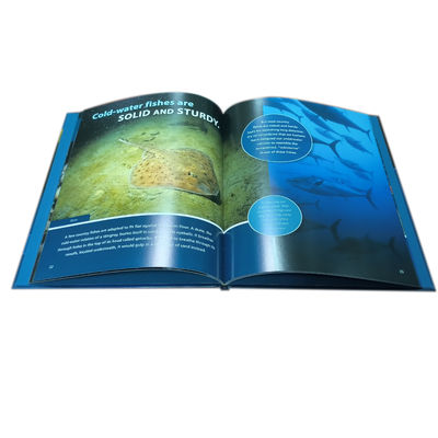 City Fish Country Fish Children Book Printing Smyth Sewn With Eco-friendly Ink And FSC Paper
